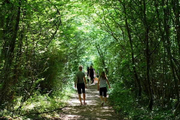 Les Sentiers Verts - Sentier Vert N° 1 :