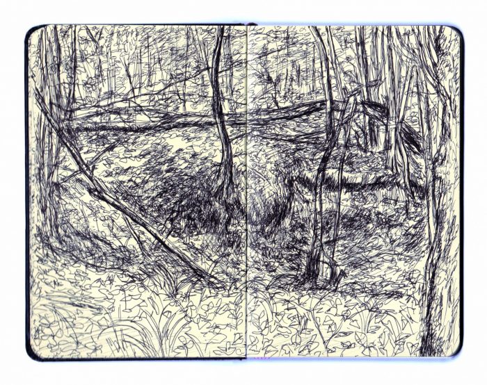 L'or bleu, feutre sur petit carnet